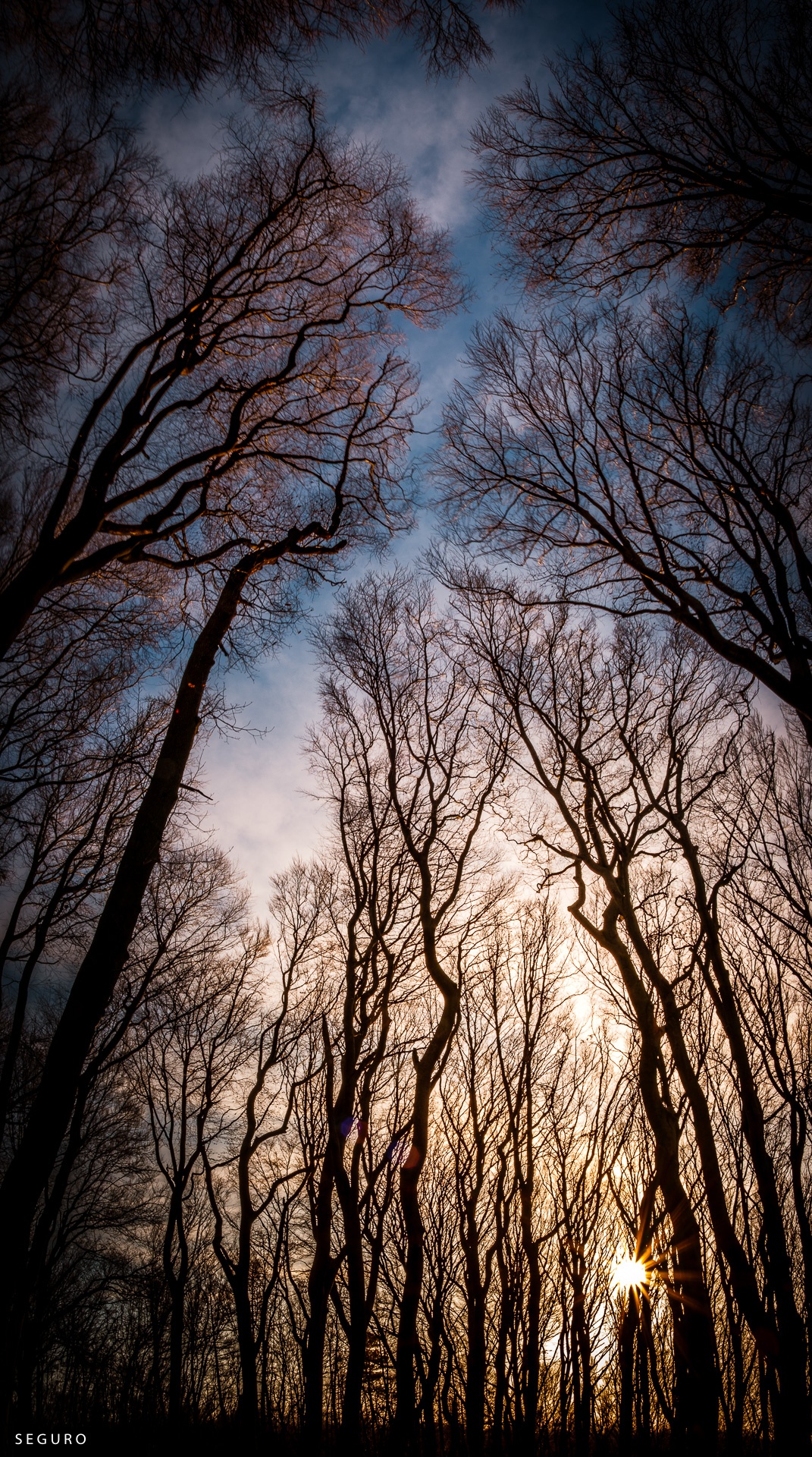 , DOCUMENTARY PHOTOGRAPHY, Landscape20200101_141055_00239-Pano