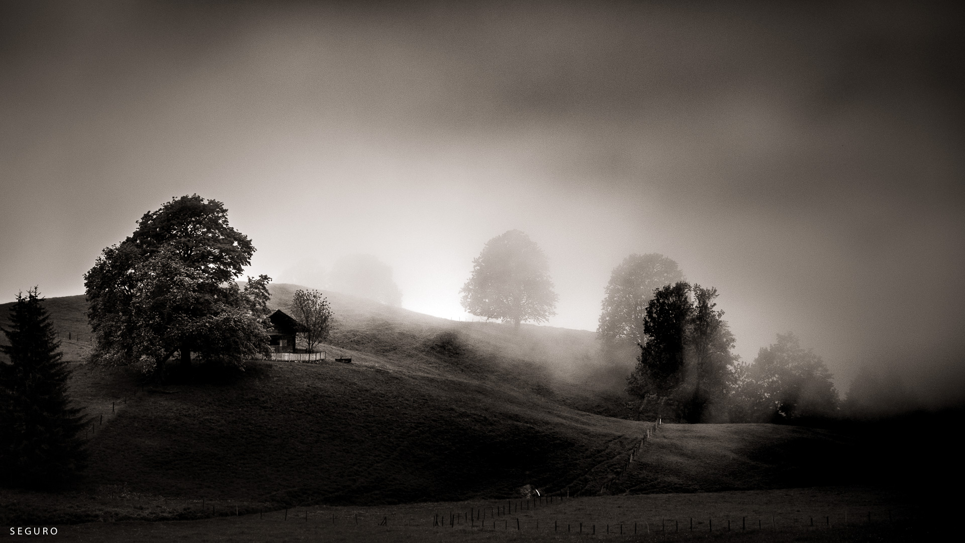 Roland Seefeld, DOCUMENTARY PHOTOGRAPHY, Magic Mood20190610_162701_00745-3