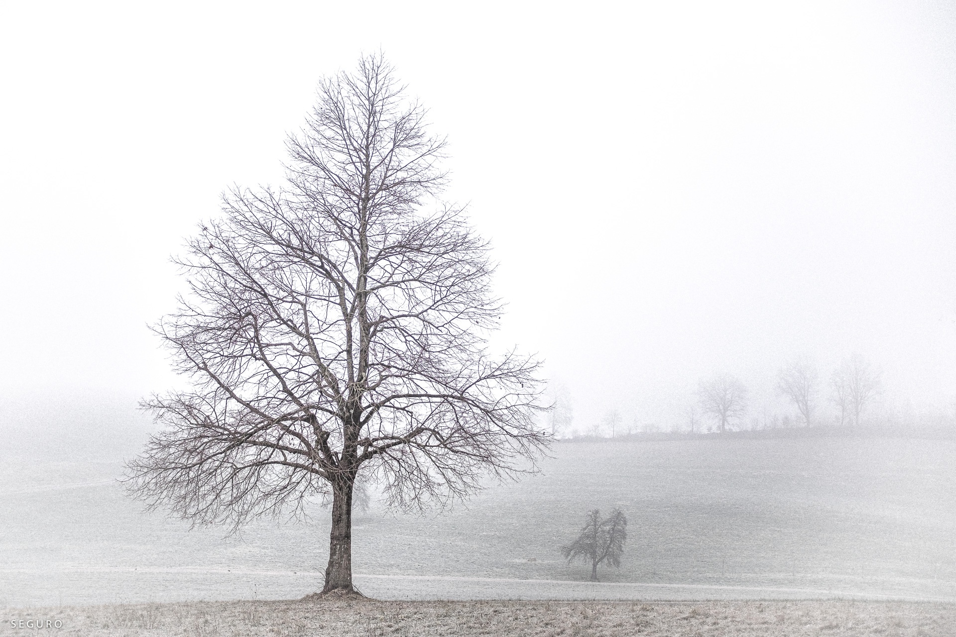 Roland Seefeld, DOCUMENTARY PHOTOGRAPHY, Magic Mood20200122_082003_00448